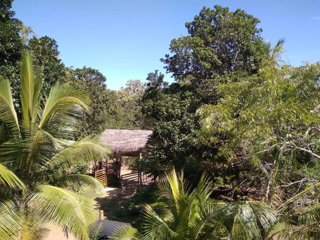 Home In The Island Tangalle Eksteriør bilde