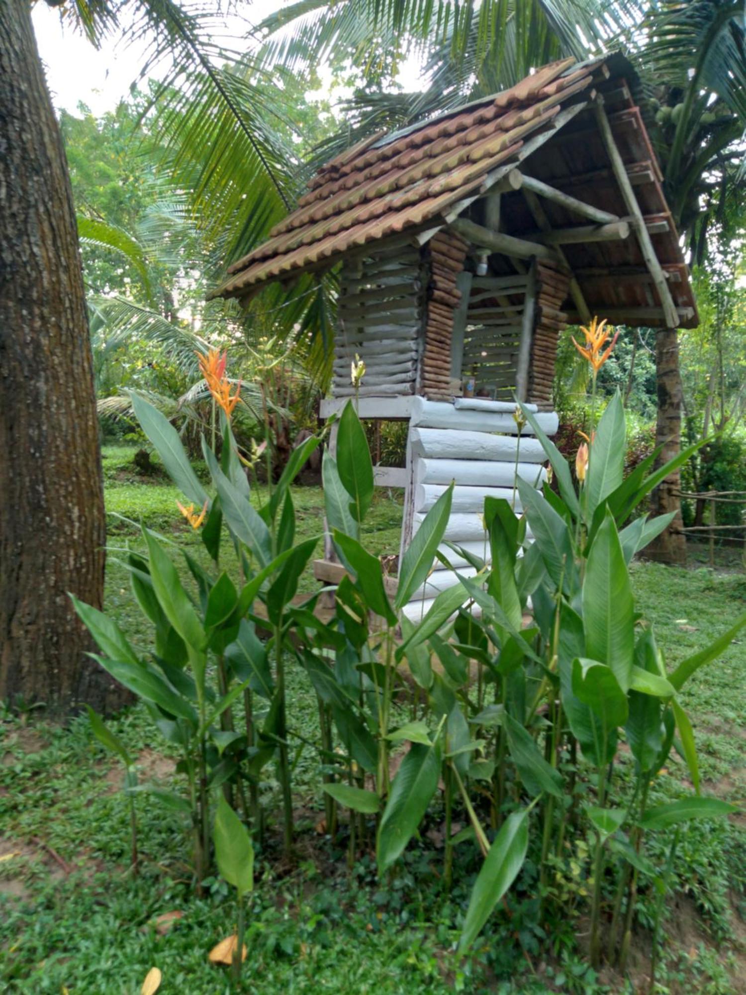 Home In The Island Tangalle Eksteriør bilde