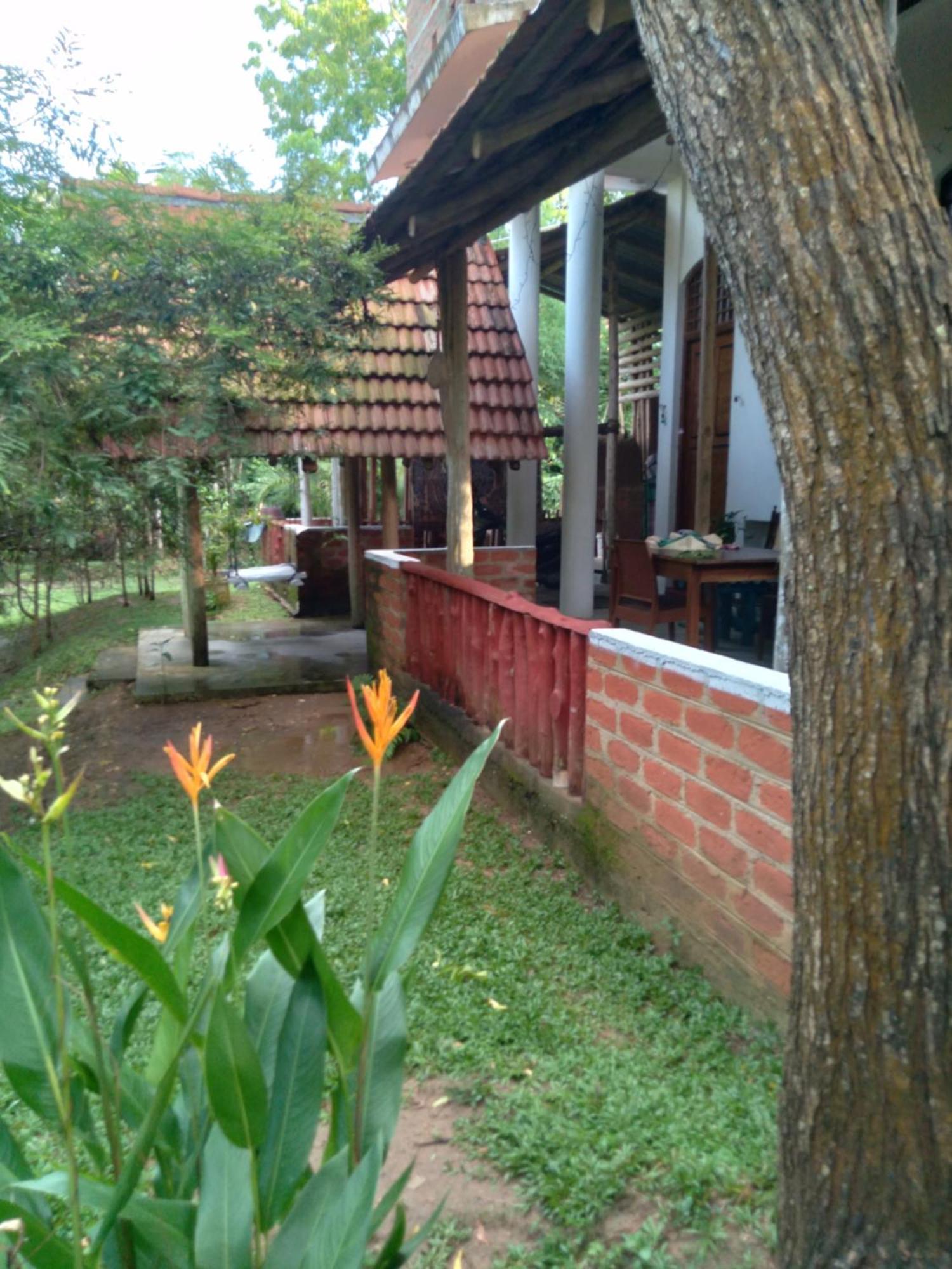 Home In The Island Tangalle Eksteriør bilde
