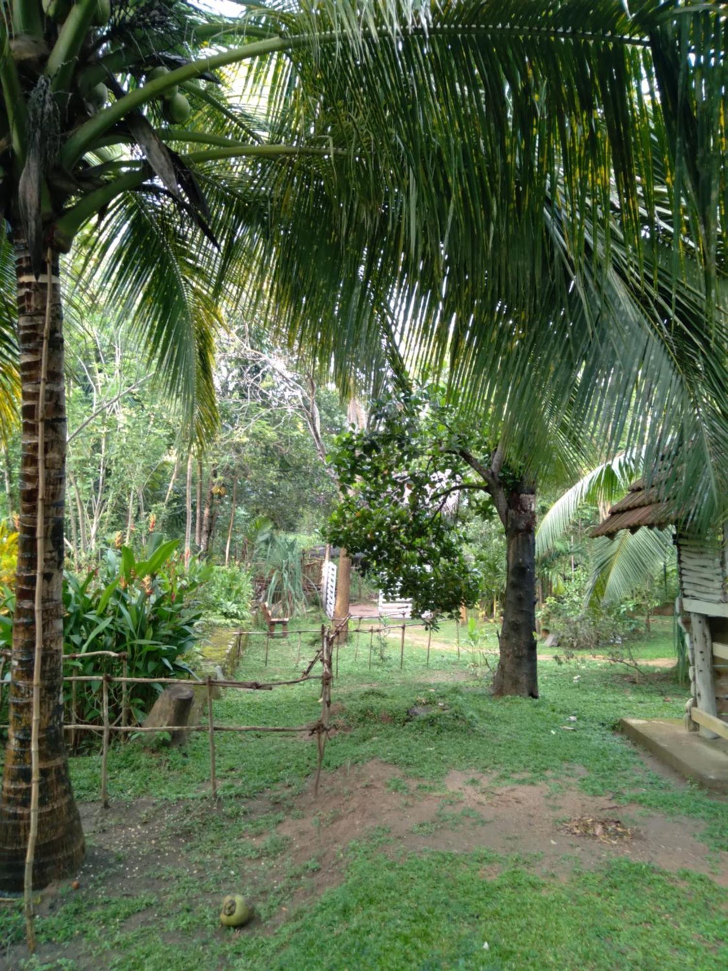 Home In The Island Tangalle Eksteriør bilde